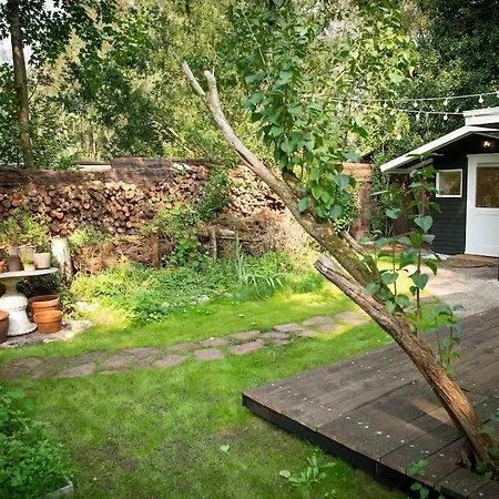 Magisch Direct Aan Het Veluwse Bos. *