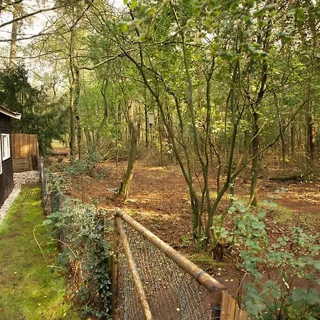 Magisch Direct Aan Het Veluwse Bos. Prázdninový dům Putten